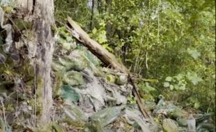 Dans les Vosges, des milliers de tonnes de plastiques détériorent l'environnement, Brut.