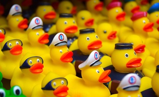 Mulhouse: Une course caritative de 12.000 canards en plastique organisée dans le canal de l'Ill