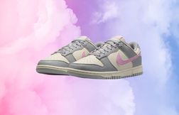 Nike crée la surprise avec cette paire de Dunk Low à moins 60 euros