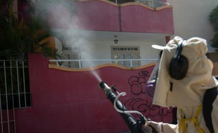 Fumigation contre le moustique Aedes Aegypti, vecteur du virus Zika, le 29 janvire 2016 à Bahia, au Brésil.