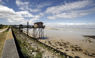 Iluustration de l'estuaire de la Gironde à Jau-Dignac-et-Loirac. AFP PHOTO / JEAN-PIERRE MULLER