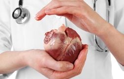 D’où vient l’expression « avoir le cœur sur la main » ?