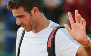 L'Argentin Juan Martin Del Potro, N.7 mondial, a annoncé son forfait mercredi pour Roland-Garros qui commence dimanche en raison de problèmes respiratoires.