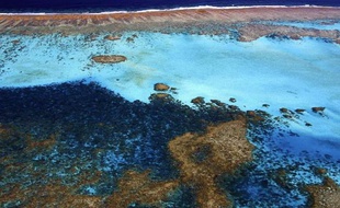 La barrière de corail de Nouvelle-Calédonie, l'une des plus vastes au monde,le 13 juin 2006