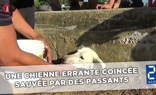 Nikki s'est retrouvée coincée dans un soupirail.