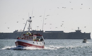 Un chalutier revient au port, à Lorient (image d'illustration).