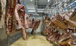 Des carcasses de bœuf à Rungis en mars 2020 (illustration)