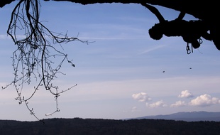 Un alpiniste. Illustration.