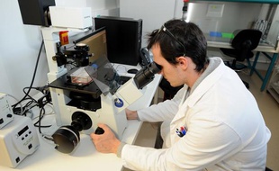 Un biologiste spécialisé dans les nanotechnologies dans un laboratoire de Grenoble.
