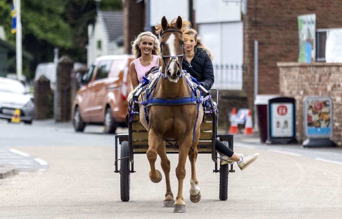 « Les chevaux dans la ville » : Peut-on vraiment circuler à cheval en ville ?