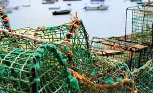 Des casiers de pêche sur le quai d'un port