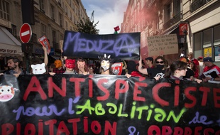 Illustration d'une manifestation antispéciste.