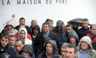 Des agriculteurs se rassemblent devant le marché du porc à Plérin, le 14 août 2015