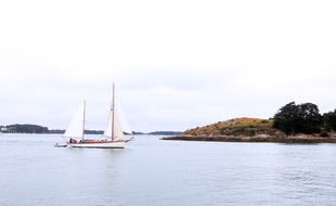Un voilier navigue dans le golfe du Morbihan (illustration).