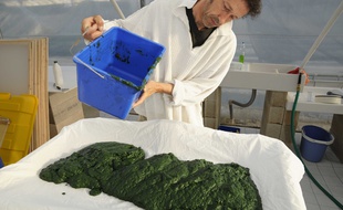 Une ferme artisanale de spiruline, à Gignac la Nerthe, le 21 mai 2012.