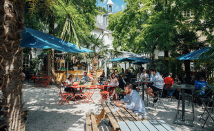 Vue sur la terrasse végétale du Café A