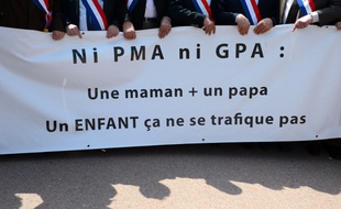 Des élus opposés à la PMA et à la GPA manifestent le 5 mai 2013, à Lyon