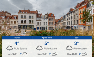 Météo Lille: Prévisions du dimanche 17 janvier 2021
