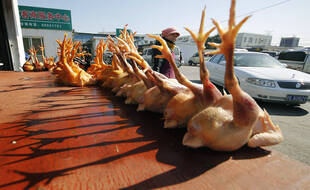 Des poulets sur un marché en Chine (illustration).