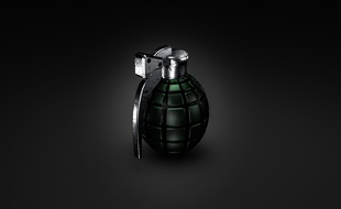 Une grenade. Illustration.