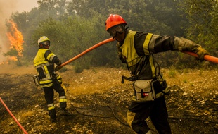 Le feu de forêt est parti près d'Aix en Provence et avait parcouru environ 750 hectares ce lundi 24 juillet 2017.
