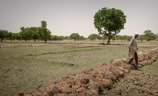 Boulsa le 09 juin 2012. Mise en oeuvre par l'ONG francaise SOS Sahel de solutions durables en matiere d'agriculture et d'acces a l'eau face aux secheresses recurrentes et a la desertification qui engendrent crises humanitaires et alimentaires au Sahel.