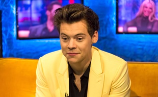 Harry Styles sort avec Camille Rowe