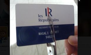 Des militants sarkozystes coupent leur carte d'adhérent.
