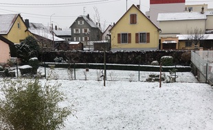 La neige n'arrête pas de tomber ce jeudi en Alsace (illustration).