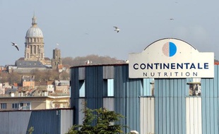 L'usine Continentale Nutrition, n°1 français de l'alimentation pour chiens et chats, à Boulogne-sur-mer (Pas-de-Calais) le 27 février 2014