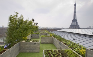Paris le 03 avril 2013. Installation par Alain Passard le chef legumier de l'Arpege d'un jardin potager de 150m2 sur les toits du palais de Tokyo a quelques pas de la Tour Eiffel. espaces verts. Operation BMW a l'occasion de la presentation des nouvelles voitures electriques BMW i.