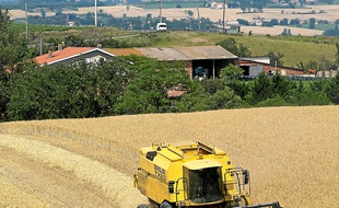 Plus de 60 000 tonnes de pesticides sont utilisés par an en France.