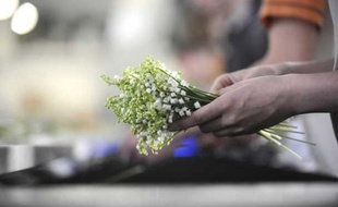 Brins de muguet à Nantes en 2010.