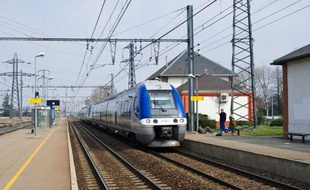 Un TER en gare de Portet-sur-Garonne (Haute-Garonne). Photo prise le 12 mars 2010.