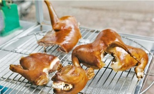 Les habitants de Hanoï sont désormais invités à ne plus manger de viande canine.