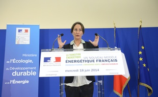 Ségolne Royal, ministre de l'Ecologie le 18 juin 2014.