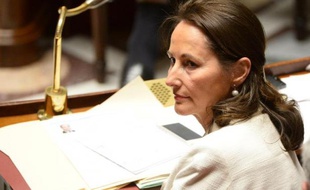 La ministre de l'Ecologie Ségolène Royal à l'Assemblée nationale, à Paris, le 16 décembre 2014