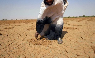Famine au Sahel en 2012.