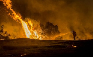Un pompier lutte contre l'incendie le plus dévastateur, "le Rocky Fire", près de Clearlake le 2 août 2015 en Californie