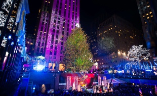 La chouette serait restée coincée durant le voyage du sapin jusqu'à New York.