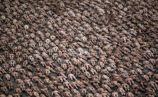 Le photographe américain Spencer Tunick a réuni 18.000 personnes à Mexico City pour poser nues. Il établit ainsi un nouveau record