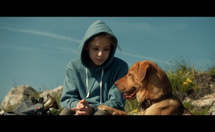 White God, de Kornel Mundruczo
