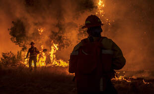 Des pompiers luttent contre le Carmel fire, un incendie qui ravage le sud de la région de San Fancisco, le 19 août 2020