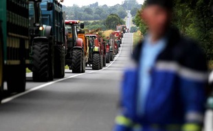 Les éleveurs normands ont sorti les tracteurs pour exprimer leur colère.