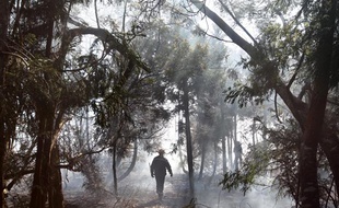 Un pompier dans la forêt de Maido, à la Réunion, le 1er novembre 2011.