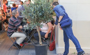 Opération de sensibilisation de la police contre les vols à la tire