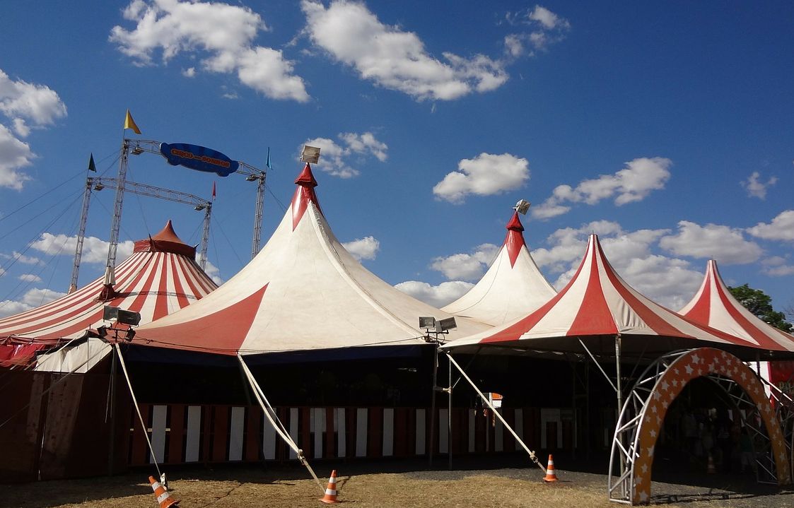 Val-d’Oise : Une association réclame le départ d’un cirque et de ses animaux (1/1)