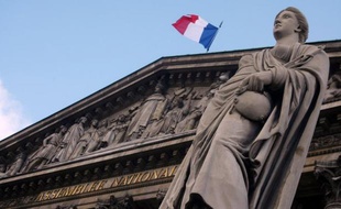 L'Assemblée nationale a adopté jeudi une proposition de loi du Front de gauche supprimant le mot "race" de la législation française.