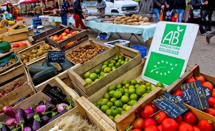 La Région veut accompagner les agriculteurs qui ont des difficultés vers l'agro-écologie.