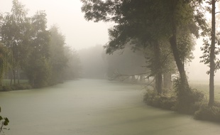 La rivière la Seiche, ici à Janzé (Ille-et-Vilaine), le 20 septembre 2017, soit un mois après la pollution de Lactalis.